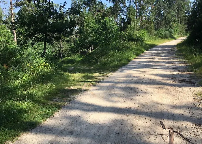 Casa Amean 庞特维德拉